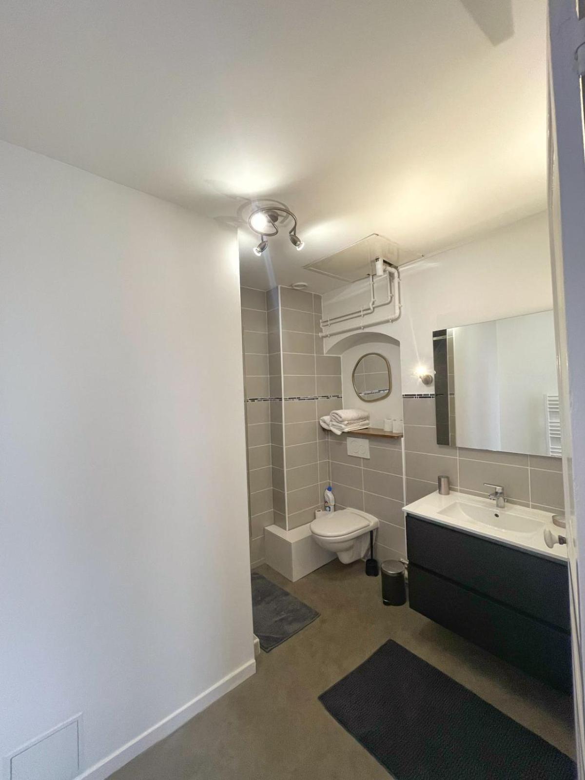 Center Macon Charmant Appartement Avec Vue Sur La Saone ภายนอก รูปภาพ
