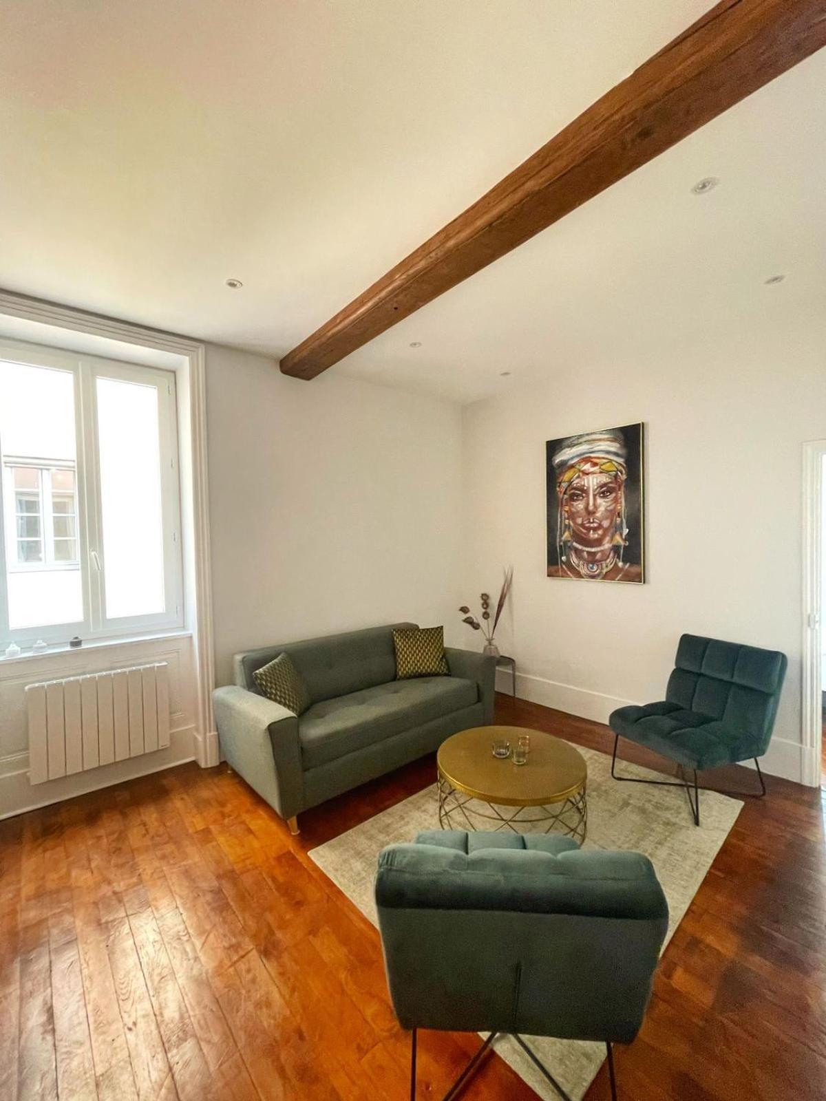 Center Macon Charmant Appartement Avec Vue Sur La Saone ภายนอก รูปภาพ