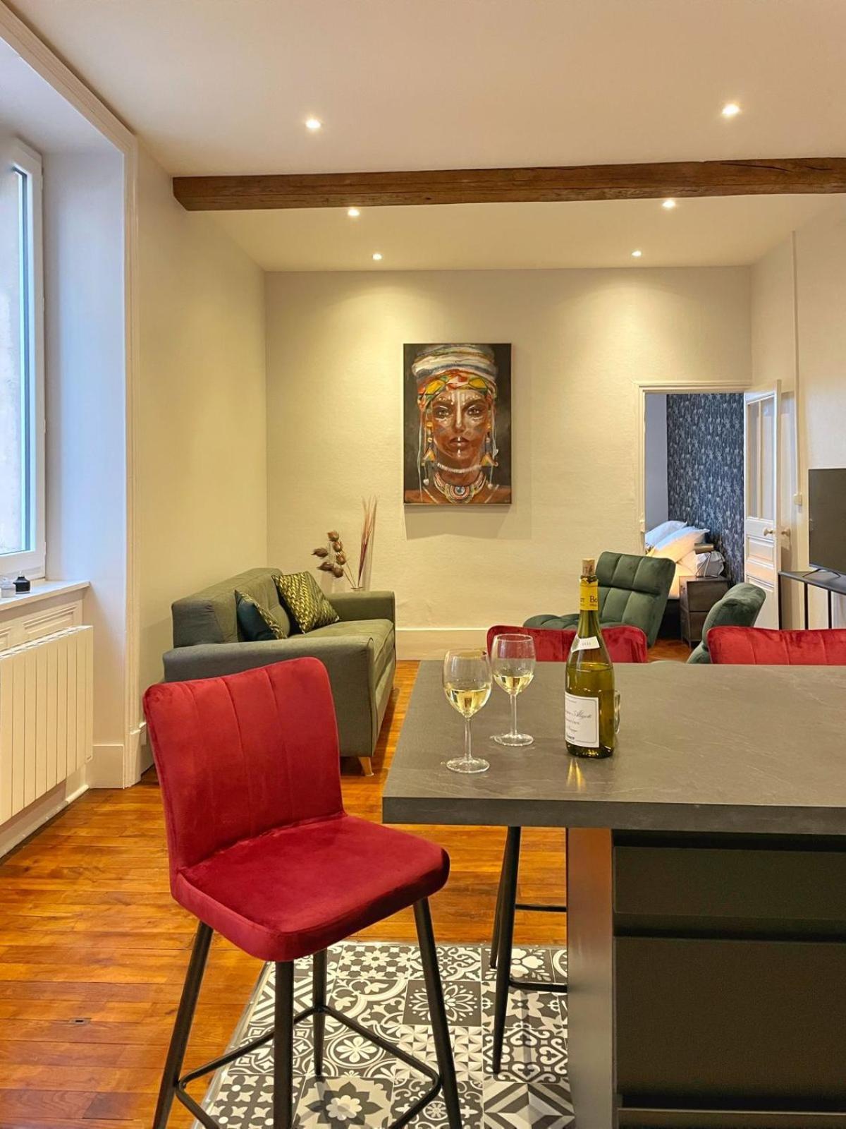 Center Macon Charmant Appartement Avec Vue Sur La Saone ภายนอก รูปภาพ
